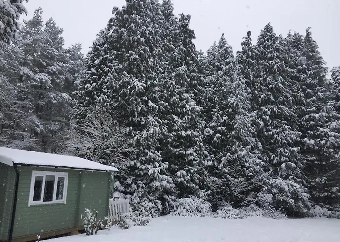 Woodland Cabin With Private Wood-Fired Hot-Tub
